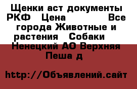 Щенки аст документы РКФ › Цена ­ 15 000 - Все города Животные и растения » Собаки   . Ненецкий АО,Верхняя Пеша д.